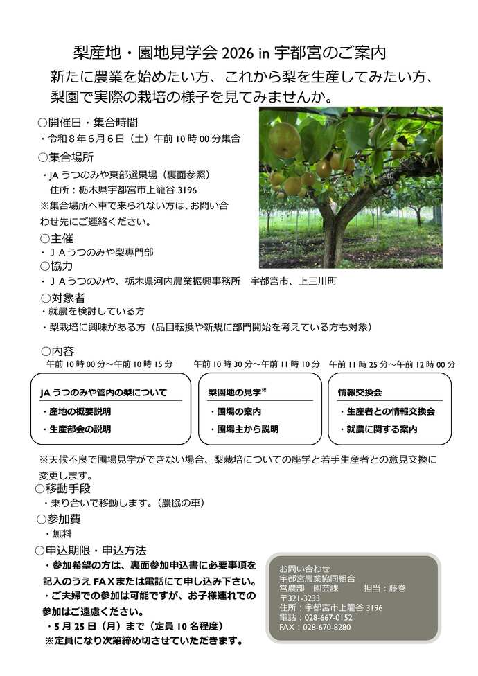 見学会のチラシ