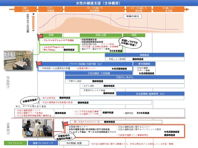 女性の健康支援（全体概要）