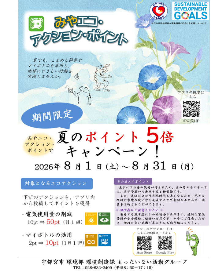 夏のポイント5倍キャンペーンちらし