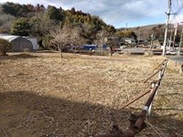 東側から撮影