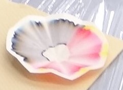 色分け実験