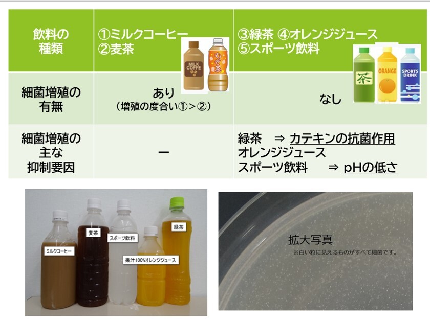 30℃での細菌数の変化まとめ